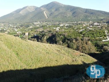 Parcela en venta en Alhaurín el Grande